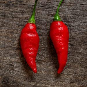 Vortex Twister Chilli Seeds