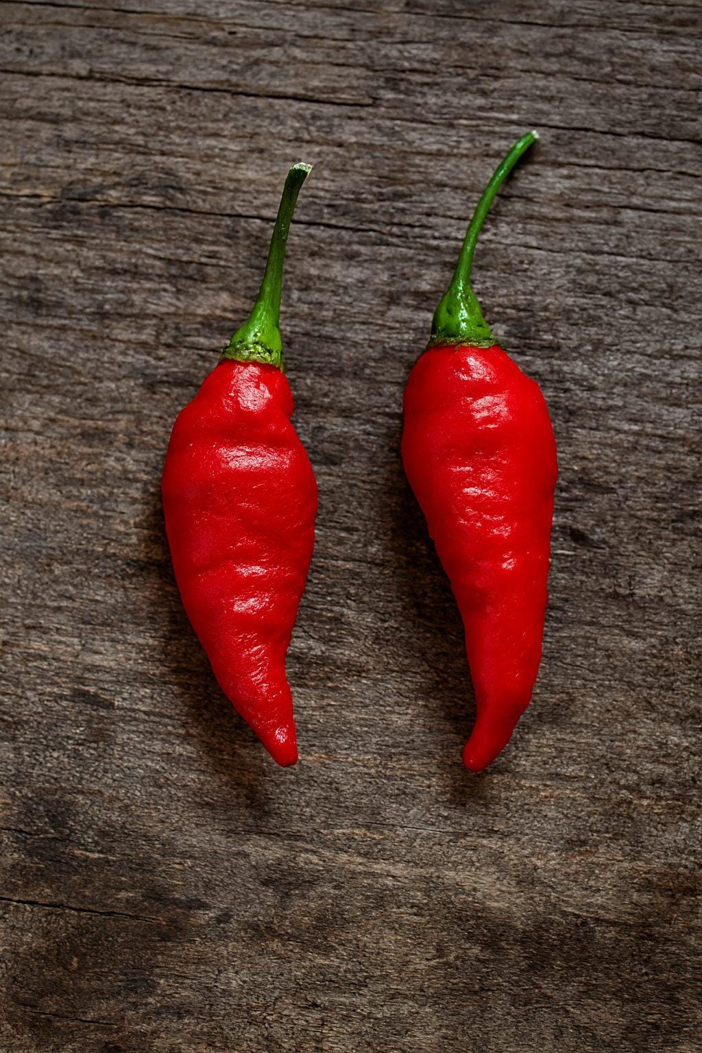 Vortex Twister Chilli Seeds Authentic - From Seed to Sensation: Spring into Action with 10 Premium Quality Seeds 1 Vortex Twister Chilli Seeds