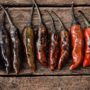 Chameleon Pepper