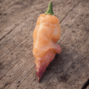 Funky Chicken Pepper