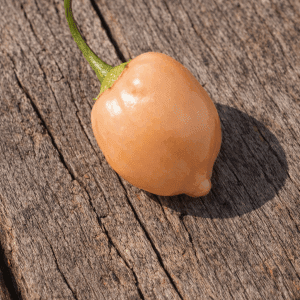 Peppapeach