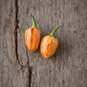 Peppapeach Stripey